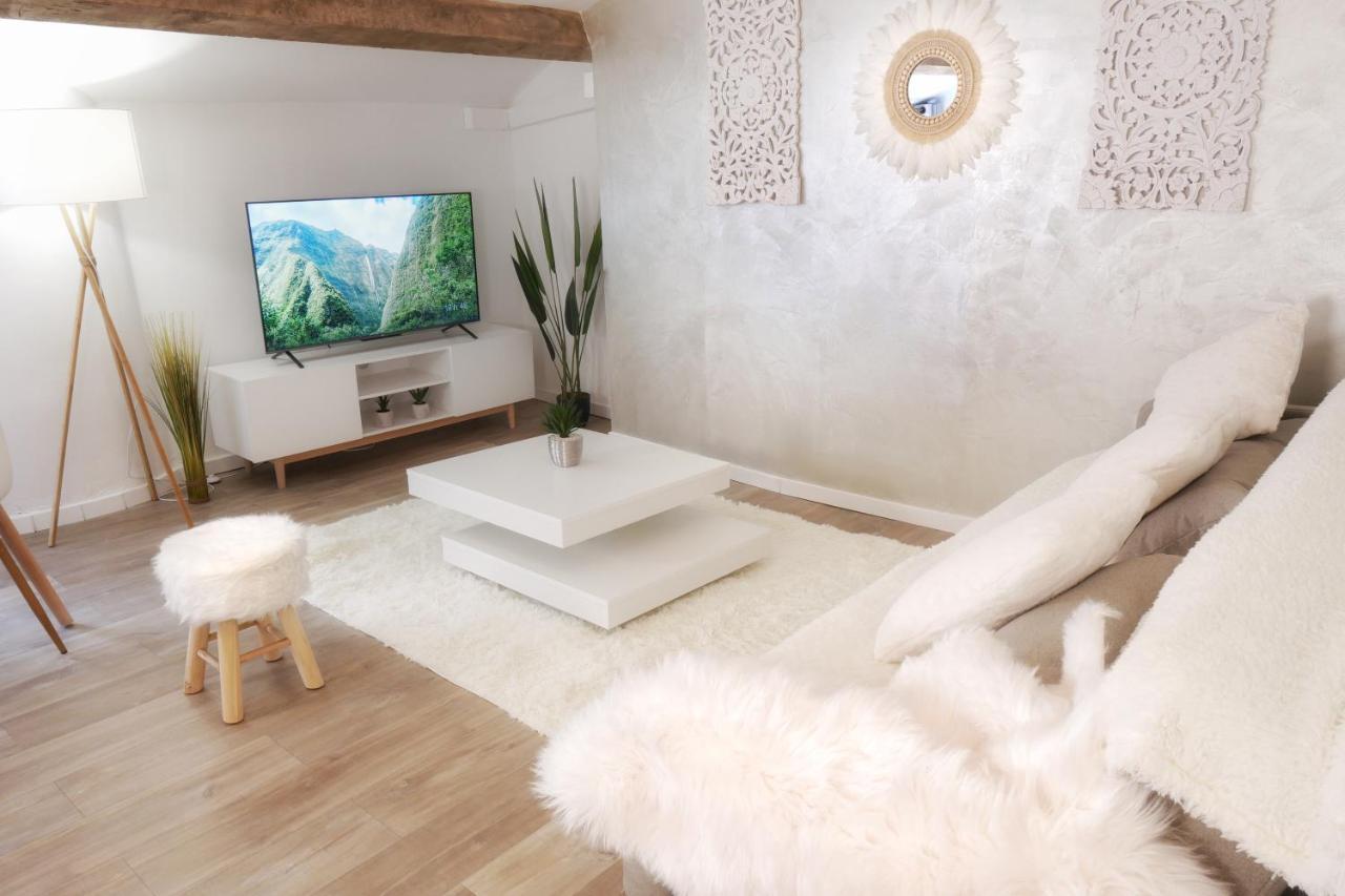 Appartements Premium En Hyper Centre Ville ブリニョール エクステリア 写真